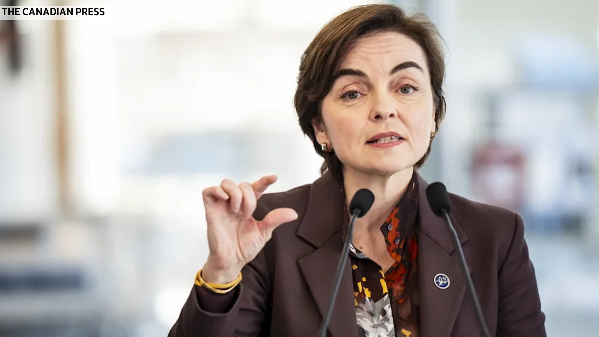 کریستین فرشت